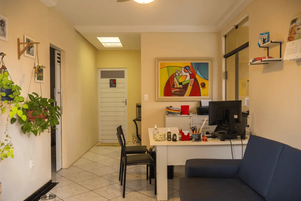 Recepção da KONTAKT, com sofá, plantas penduradas e um quadro colorido na parede